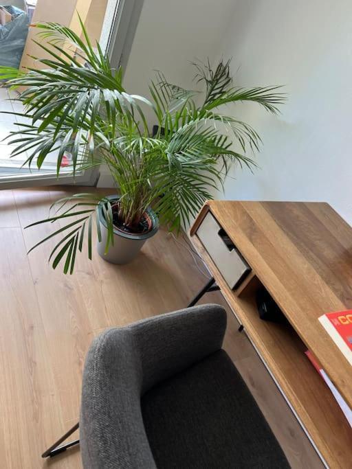 Le Petit Bruxelles Au Calme Apartamento *